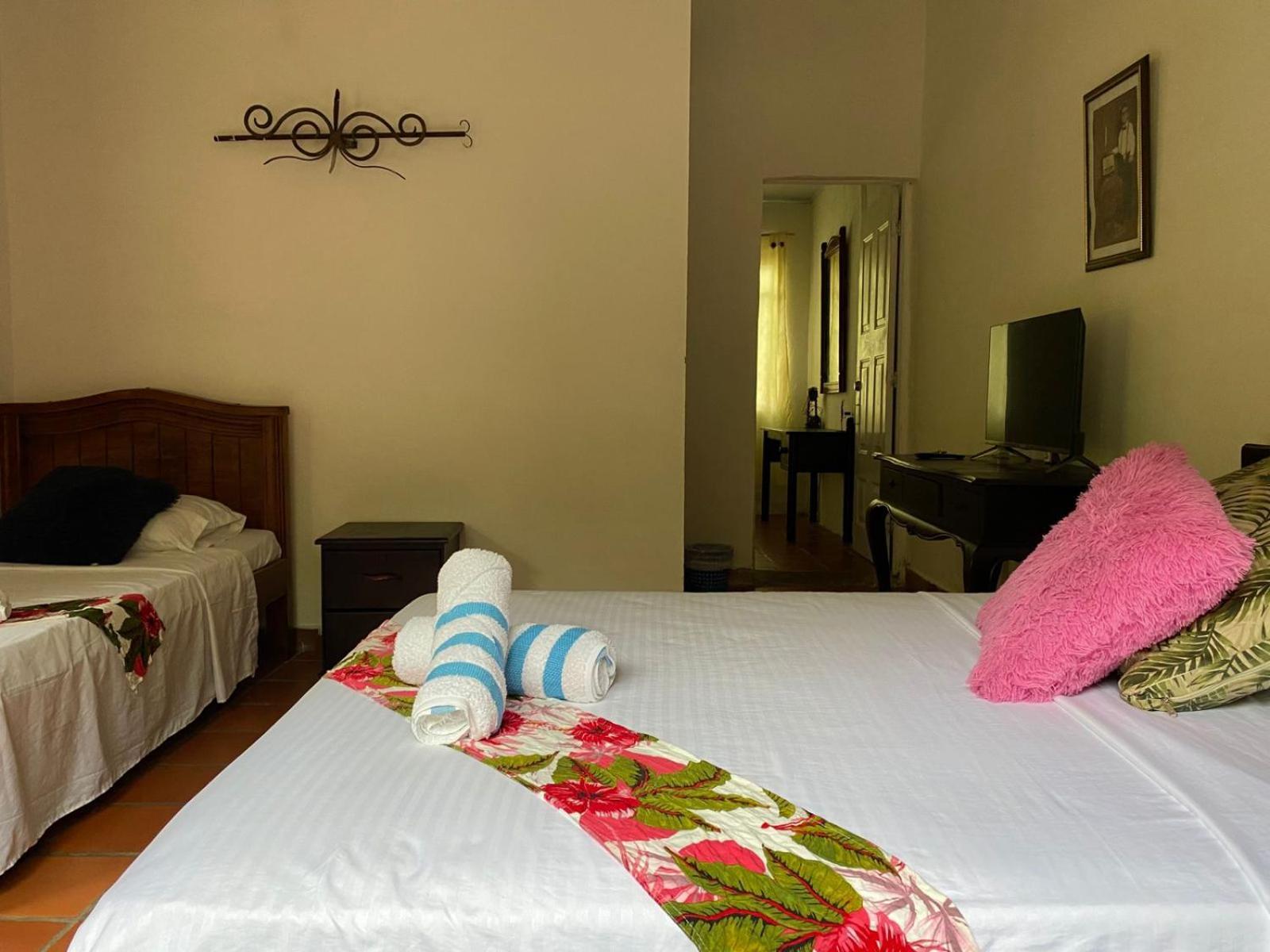 Villa Sonia Eco-Hostel Gigante Exterior photo