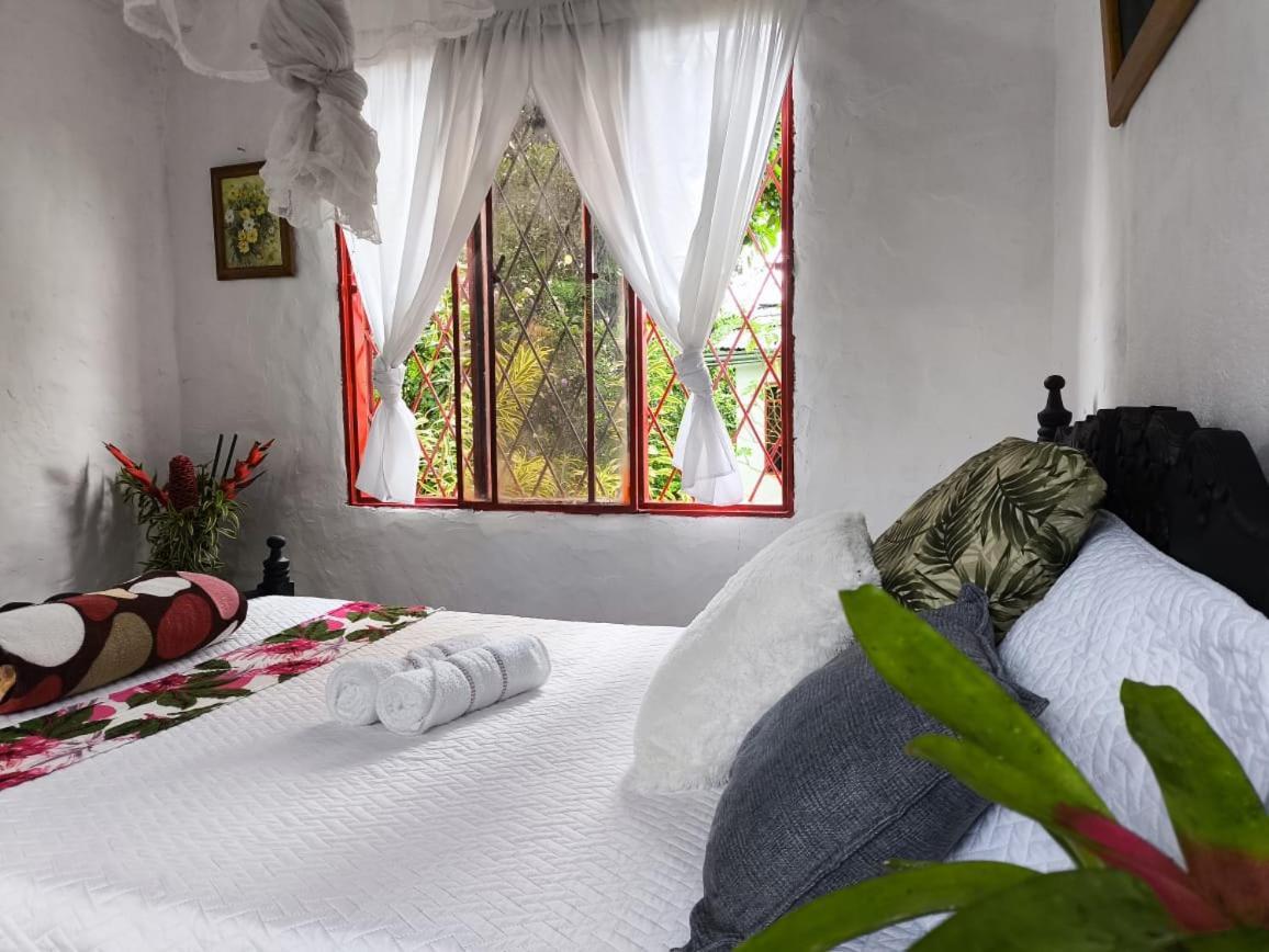Villa Sonia Eco-Hostel Gigante Exterior photo